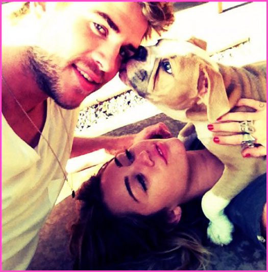 Miley-Cyrus-Liam-Hemsworth-Family-Photo-With-Ziggy